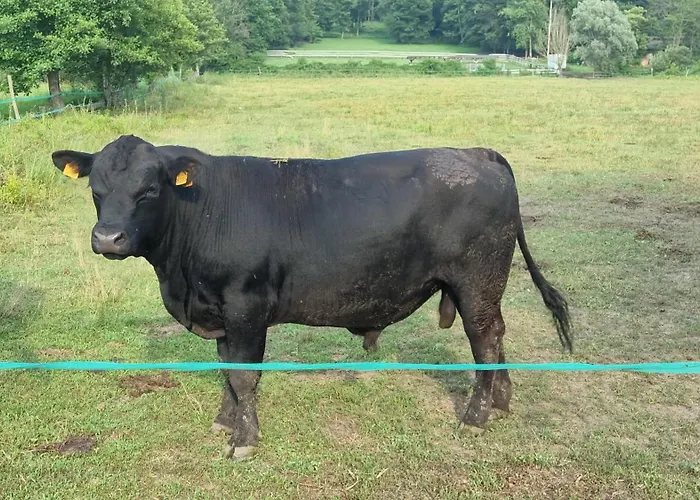 Vakantiehuis Pastorelli