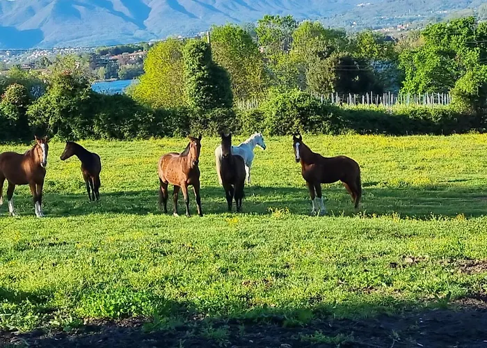 Pastorelli Vakantiehuis *