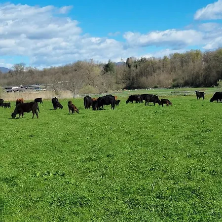 Pastorelli Дом отдыха *