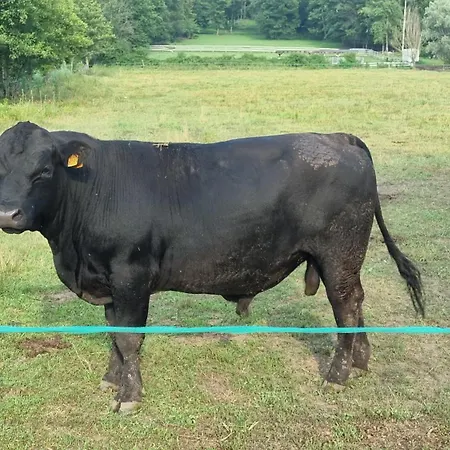 Дом отдыха Pastorelli