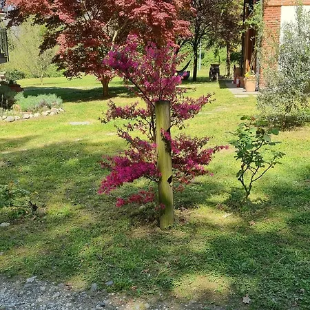 Pastorelli Casa vacanze Osmate