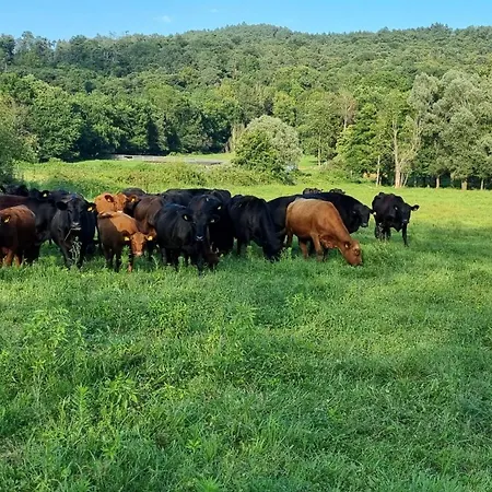 Pastorelli Prázdninový dům