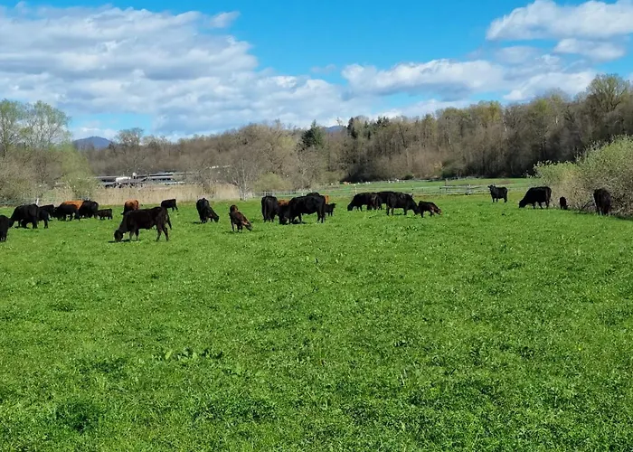 Pastorelli Дом отдыха *