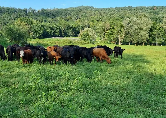 Pastorelli Дом отдыха