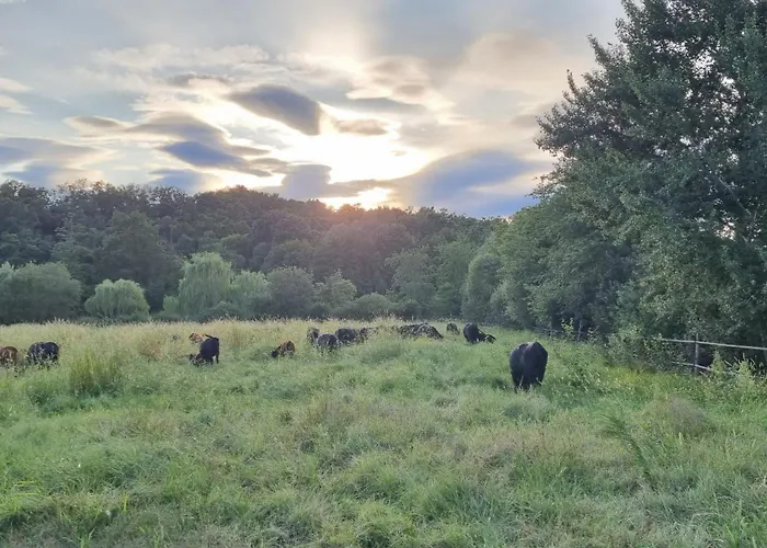 Pastorelli Дом отдыха Osmate